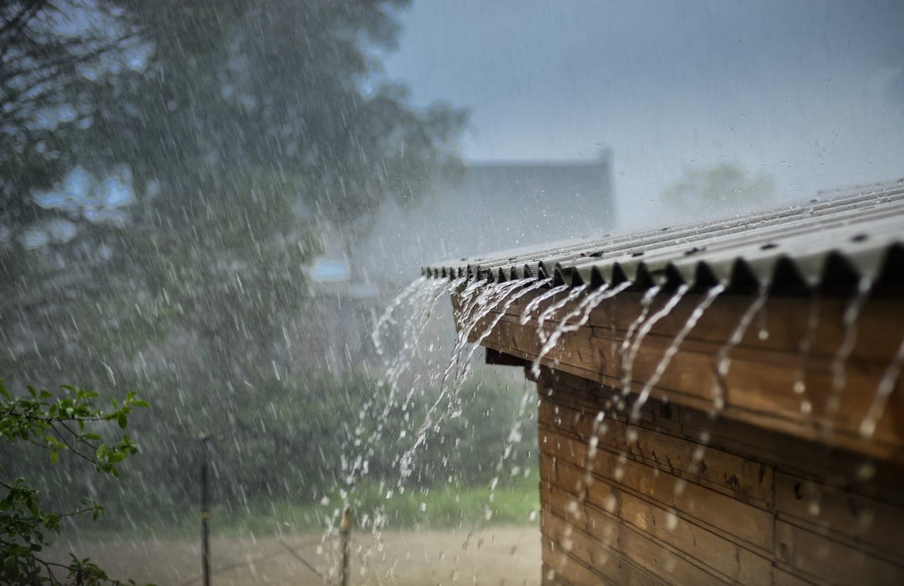 Welcoming Rain – Also A Reminder To Clean Your Water Tank!