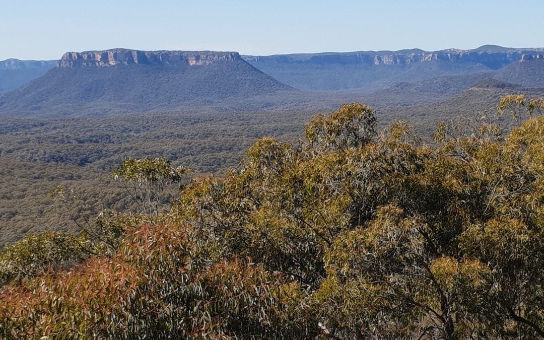 Our Recent Trip To Mudgee